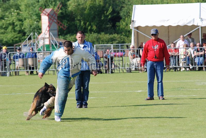 3 EME SELECTIF 2009 GRANDE SYNTHE 273.jpg